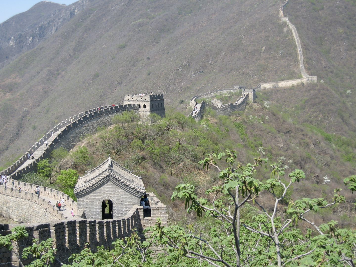 Mutianyu section of the Great Wall across forested ridgelines