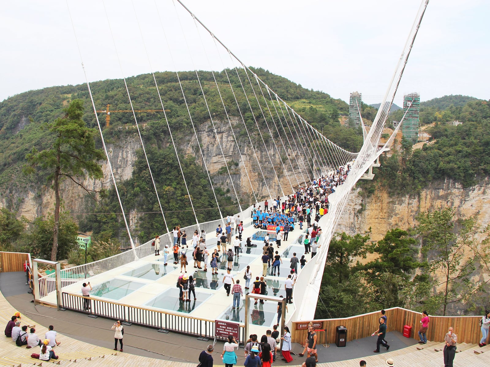 Grand Canyon Glass Bridge in Zhangjiajie