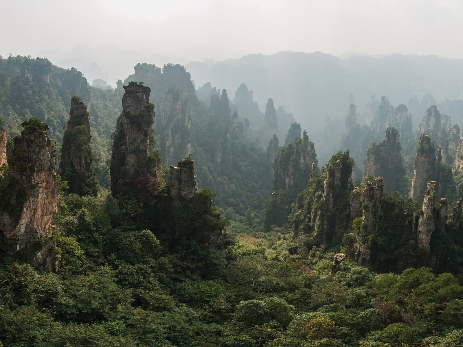 Zhangjiajie National Forest Park in Zhangjiajie