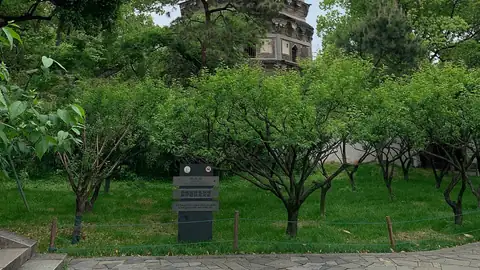 Tiger Hill